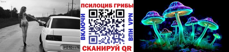 хочу наркоту  Абдулино  Псилоцибиновые грибы Cubensis 